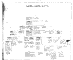 Kippax Tree.gif (103145 bytes)